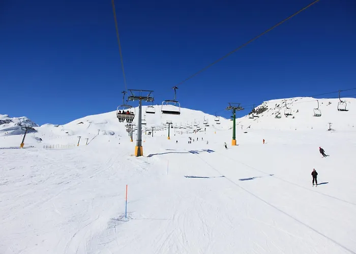 Daire Graceful In - Happy *