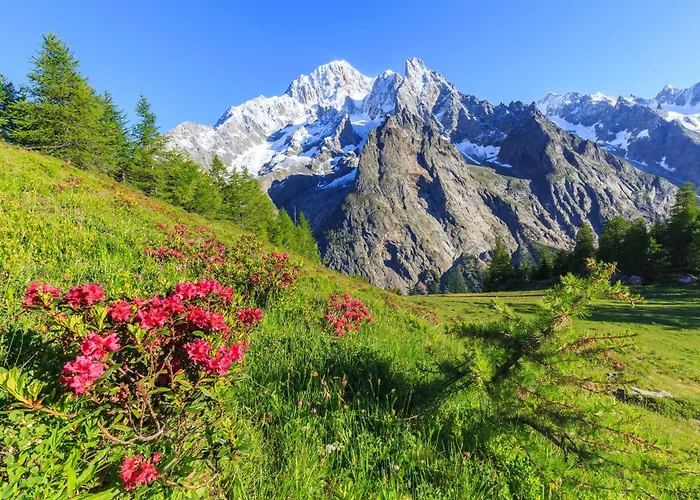 Graceful In - Happy * Курмайор