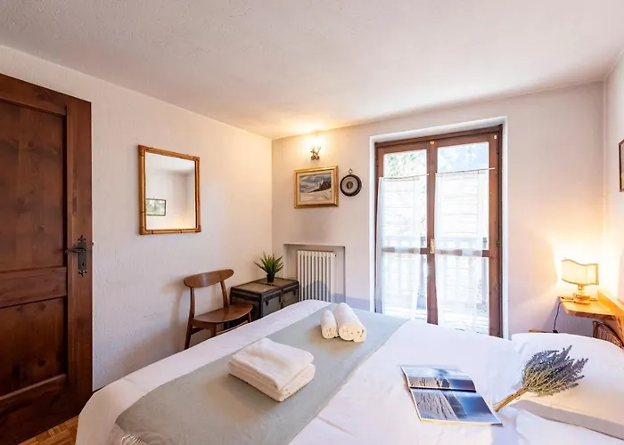 Graceful In - Happy Курмайор